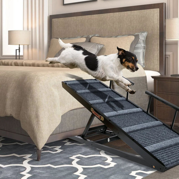 Dog ramp outlet for stairs outside